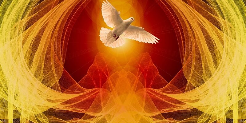 5ebab57461c23-zielone-swiatki-zeslanie-ducha-sw