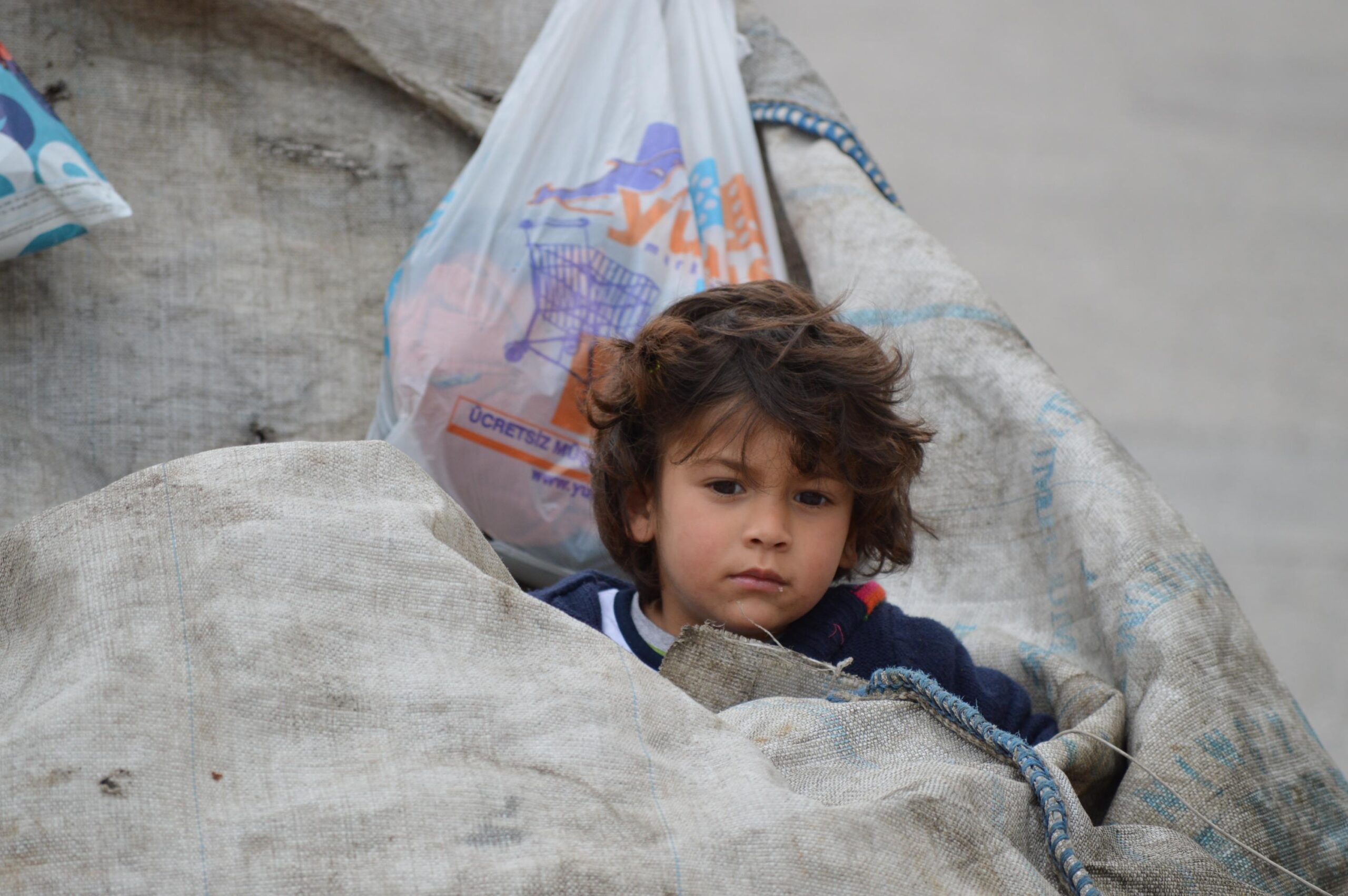 c956628b650e8db8227861bb5bd17b7c