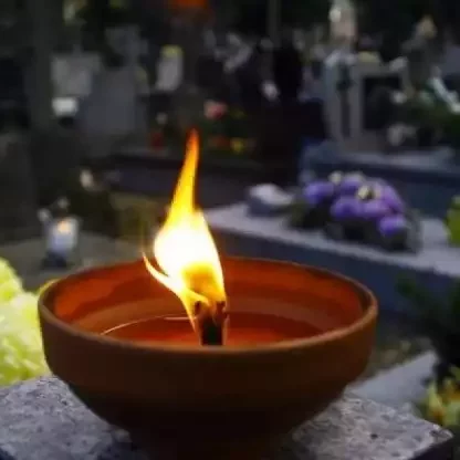 5bdafda2b7b1a_o_medium