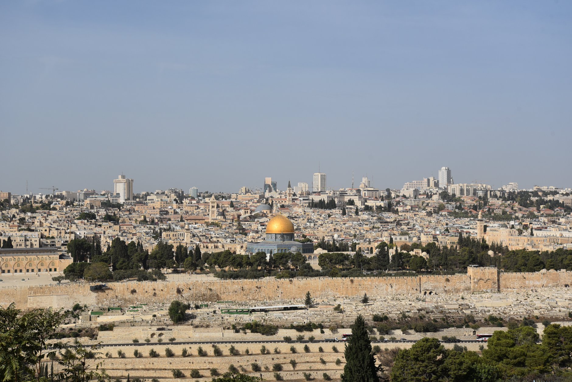 44702811_1528847150551780_7572961485349978112_n