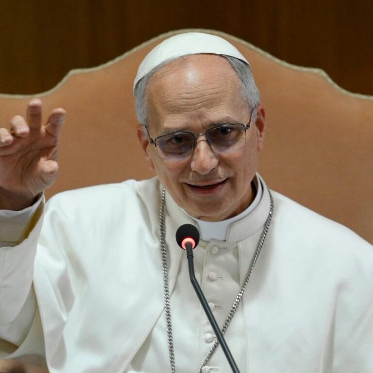 кардиналите (@Vatican Media)